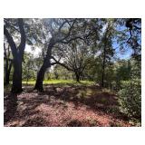 12.85+/- Acre Parcel, Ft. McCoy, FL