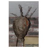 Large Natural Hornets Nest Large Natural Hornets Nest