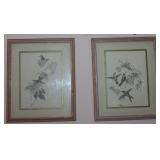 Framed and Matted Botanical Hummingbird Prints (18” x 22”)
