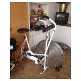 Schwinn Airdyne exercise bike