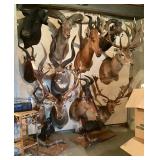 Heads Up  Dont miss this amazing estate sale in Littleton