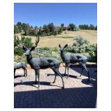 Fun Foxfield Estate Sale