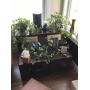 Beautiful High End Broomfield Sale 