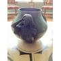 Southwest Art, Native American Rugs, Pottery and High End Furniture