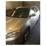 Awesome Taxidermy and Decor in Denver!