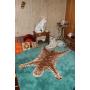 Tiger Decor, Vintage Housewares, Tools, Electronics, and more