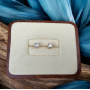 Bling, Bikinis & Bargains Summer Online Auction by Caring Transitions - Ends 6/21!
