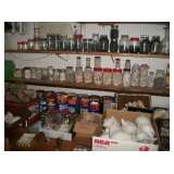 SHARK TEETH & SHELLS