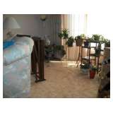 INDOOR & OUTDOOR PLANTS