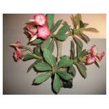 1 OF MANY WOOD CARVED FLORALS