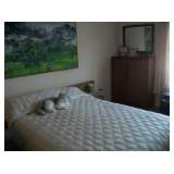 QUEEN TEAK BR SET