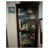 SHOWCASE WITH LIGHT & LOCK