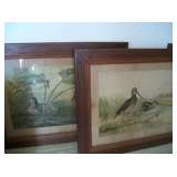 A. POPE JR. CHROMOLITHOGRAPHS