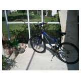 1 OF 2 BIKES