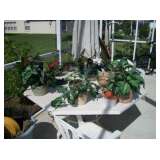 MANY PATIO FURNITURE PCS.