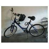 LADIES SCHWINN