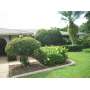 ESTATE SALE BY NANCY DUNN LLC