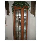 LIGHTED CORNER CURIO
