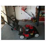 TROY BILT BRIGGS & STRATTON
