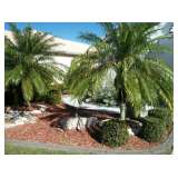 ESTATE SALE BY NANCY DUNN