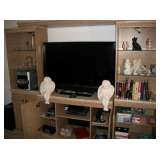 FLAT TV & MEDIA CENTER