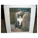 THIS SALE IS THE CAT