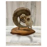 BIDDING IS LIVE! LOCAL P/U & SHIPPING AVAILABLE! WEATHERFORD, TX GALLERY AUCTION