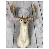 BIDDING IS LIVE! LOCAL P/U & SHIPPING AVAILABLE! WEATHERFORD, TX GALLERY AUCTION