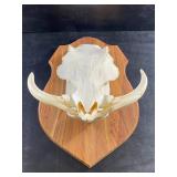 BIDDING IS LIVE!  ~Incredible *Online Only* Upscale Estate Auction! Local P/U & Shipping Available!