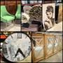 Incredible Dallas, TX Business Liquidation! H.U.G.E 2 Phase Sale! Top Upscale Home Staging Company!