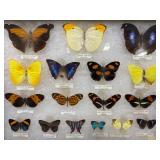 Weatherford, TX *Online Only* Gallery Auction! Bidding Ends Friday! Shipping & Local P/U Available!