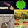 Incredible *Online Only* Weatherford Gallery Auction! Local P/U & Shipping Available!