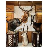 **This Weekend** MASSIVE 12k Sqft Colleyville Mansion with Woodworking Shop!