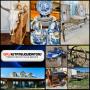 This Fri & Sat! Incredible Ranch Estate! Arctic Cat, TX Art, Saddles, Rustics, Saladmaster, Spode Blue Willow, Tiger Oak, Collectibles, Taxidermy, Trailers, Generac Generator, Welder, Vintage & More!!