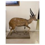 Stunning $1.7M Frisco, TX *Online Only* In-Home Estate Auction! Local P/U & Ship Avail-BIDDING OPEN!