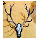 This Fri & Sat! ~Jaw Dropping Mineral Wells Estate Sale! Rare Collectibles, Shop, Tractor, Trailer, Fine Antiques, Taxidermy, Barrister Bookcases, Tiffany Lamps, Machinery, Equipment & Much More! 