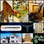 Incredible Weatherford Estate Sale! Collectibles, Art, Fine Furniture, Advertising. Tools, Hunting..