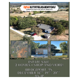 Massive Bridgeport Estate Sale! 2 Homes, Shop & More! Collectibles, Fashion, Vespa, Pool Table, MCM