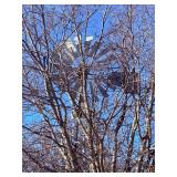 This Fri & Sat! ~Incredible Shady Shores *Lake Dallas* Estate Sale! Full Size Windmill, Fine Antiques, Collectibles, Vintage, Paintings, Glassware, Outdoor, Electronics & Much More!