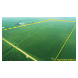 January 28, 2025 10:30 A.M. ---Live Public Farmland Auction 