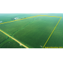 January 28, 2025 10:30 A.M. ---Live Public Farmland Auction 