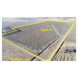 February 11, 2025  10:30 A.M. --Live Public Auction Of 2 Tracts Of Farmland 