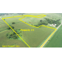 November 10, 2025 at 10:30 A.M. --Live Public Auction Of 3 Tracts Of Farmland