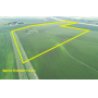 November 11, 2025 at 10:30 A.M. -- Live Public Auction Of 1 Tract Of Farmland