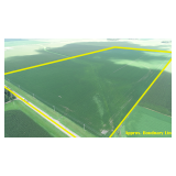 November 13, 2025 at 10:30 A.M. --Live Public Auction Of 80+/- Acres Of Farmland 