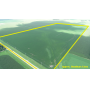 November 13, 2025 at 10:30 A.M. --Live Public Auction Of 80+/- Acres Of Farmland 