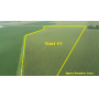 October 31, 2025 10:30 A.M. --Live Public Auction Of 3 Tracts Of Tillable Cropland In Grant TWP, Ly