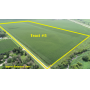 November 20, 2025 at 10:30 A.M. --Live Public Auction Of 43+/- Acres