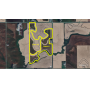 November 17, 2025 at 10:30 A.M. -Live Public Auction Of 2 Tracts Of Farmland