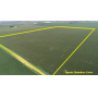 November 24, 2025 at 10:30 A.M. -Live Public Land Auction Of 100+/- Acres Of Farmland